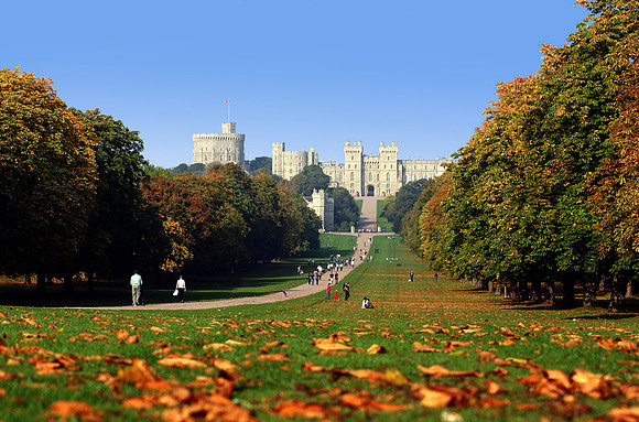 The Long Walk autumn