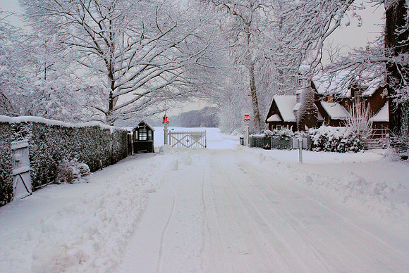 The Village