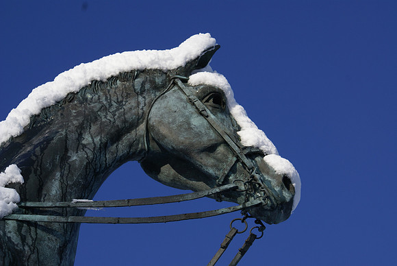 Windsor Great Park Queen Elizabeth II Equestrian statue