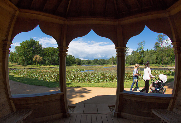 Cow Pond Arbour 3 SU WS