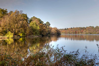 Virginia Water Lake autumn