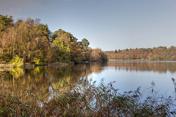 Virginia Water Lake autumn