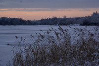 Virginia Water lake winter