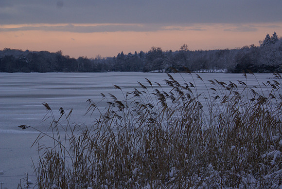 Virginia Water lake winter