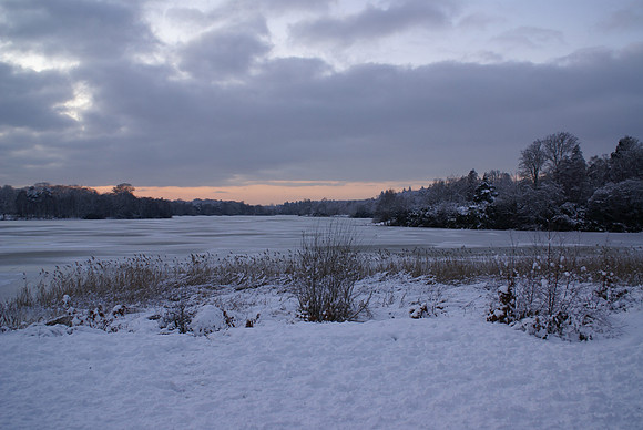 Virignia Water winter