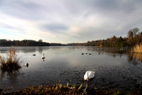 Virginia Water Lake