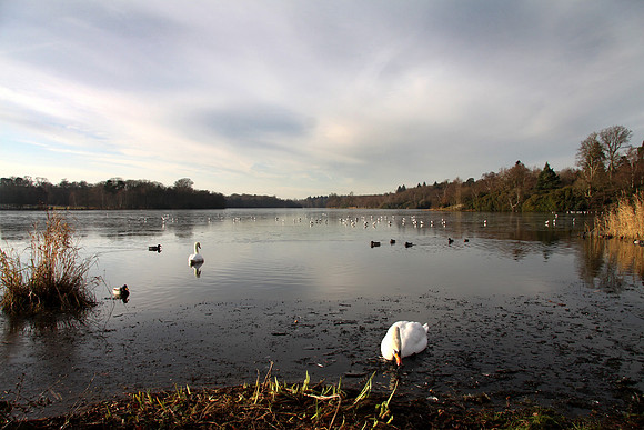Virginia Water Lake