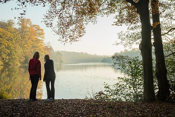 Walkers in autumn copy