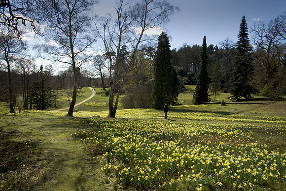High Flyers Hill in Spring