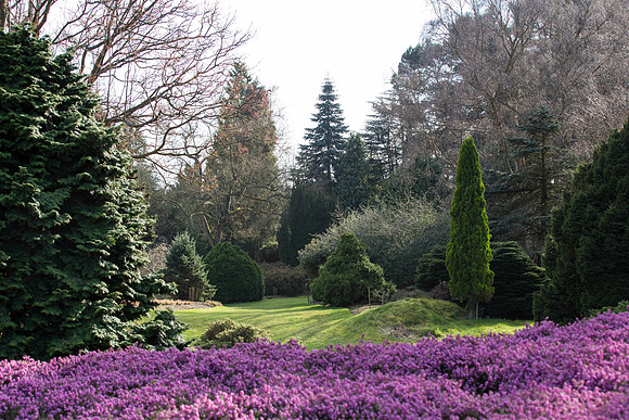 Heather Garden March
