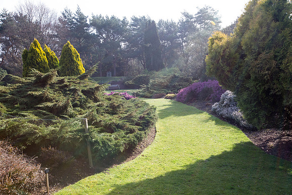 Heather Garden in March