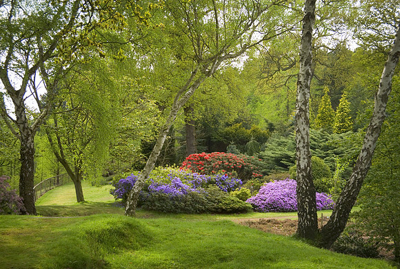 The Heather Gardens in Spring _4_