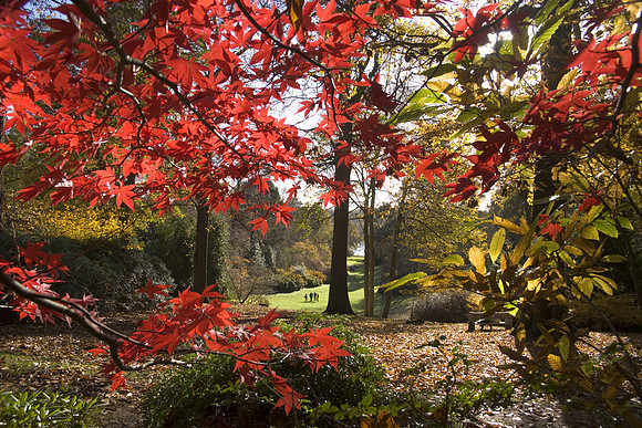 The Main Valley in Autumn