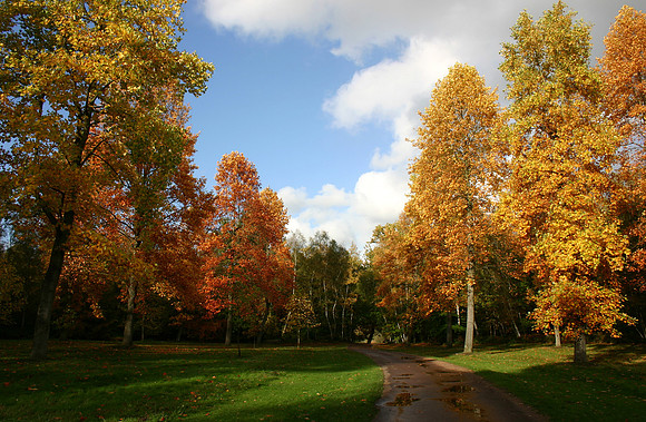 Valley Gardens Autumn