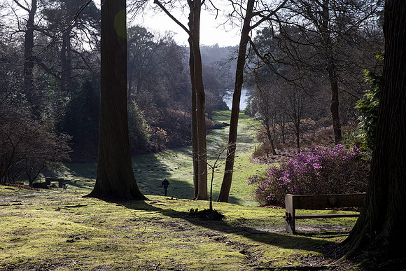 Valley Garden February