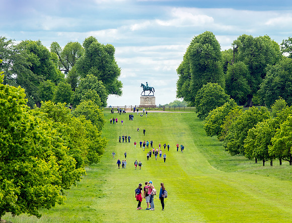 Windsor Great Park Queen Anne_s Ride SU WS 3 copy