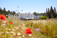 Coworth Park summer meadow Credit Dorchester Collection | Coworth Park