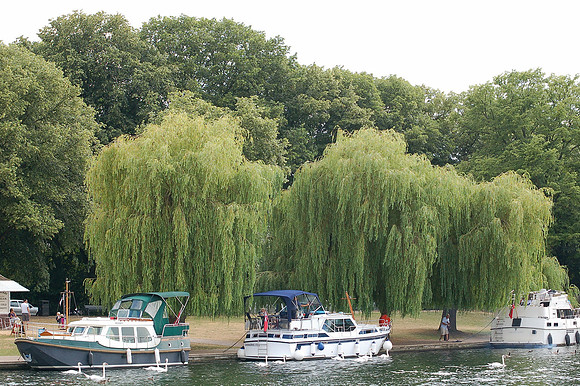 Credit - windsor.gov.uk