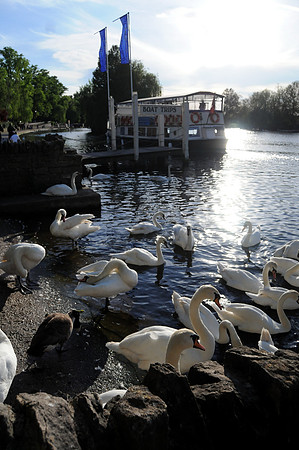 Credit - windsor.gov.uk