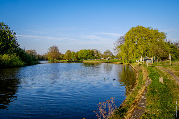 Credit - © Doug Harding