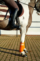 Coworth Park equestrian Credit Dorchester Collection | Coworth Park