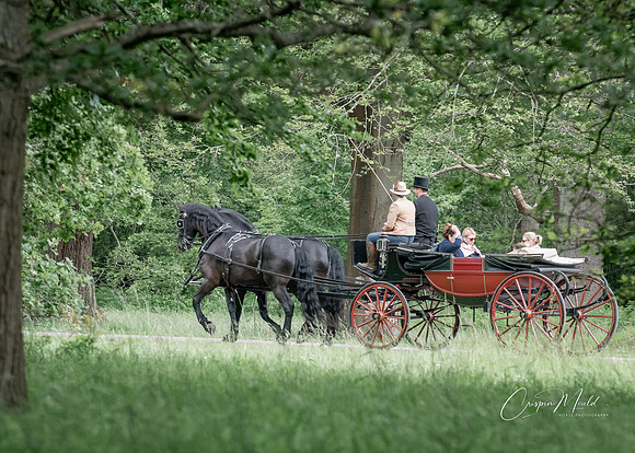 Bespoke Visit Windsor Itinerary Landau and Pair of Horses