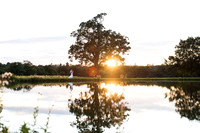 Coworth Park weddings lake couple credit Fiona Kelly