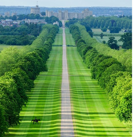 The Long Walk No Copyright