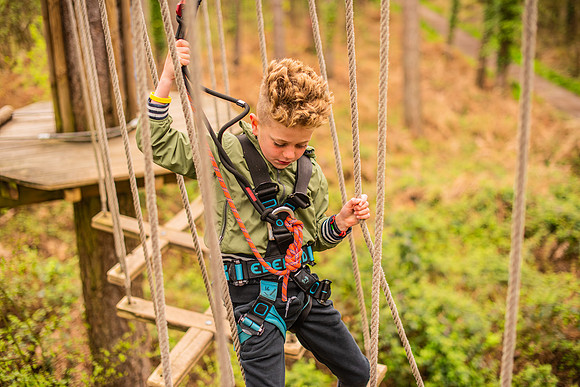 Treetop Adventure