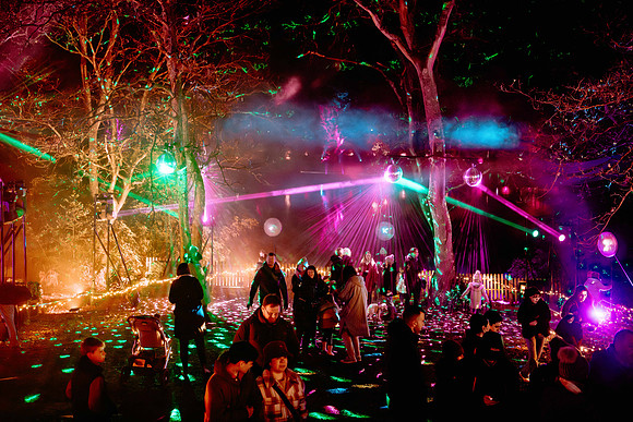 Windsor Great Park Illuminated © Joshua Atkins