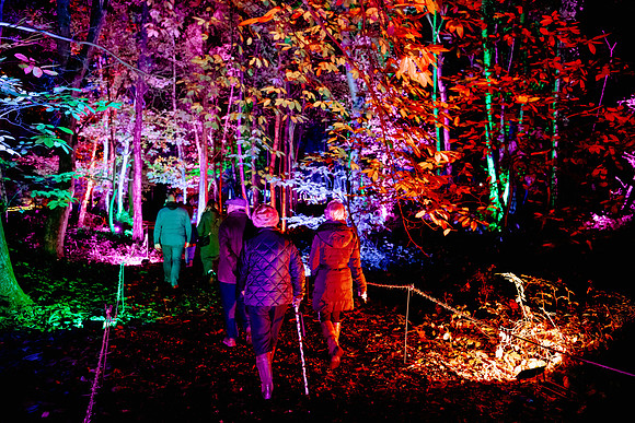 Windsor Great Park Illuminated © Joshua Atkins