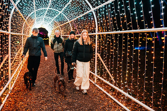 Windsor Great Park Illuminated © Eric Aydin-Barberini