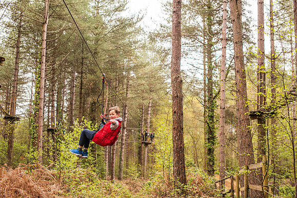 Treetop Adventure Plus