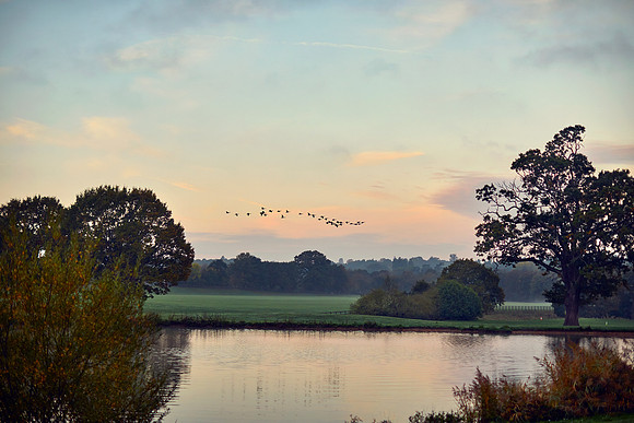 Coworth Park lake and grounds in autumn Credit Dorchester Collection | Coworth Park