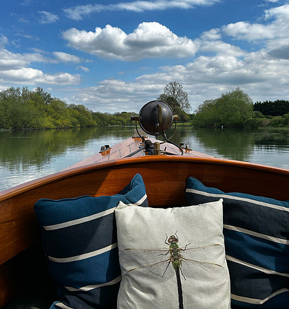 Boating at Bray