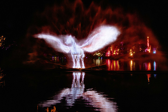 Windsor Great Park Illuminated © Joshua Atkins