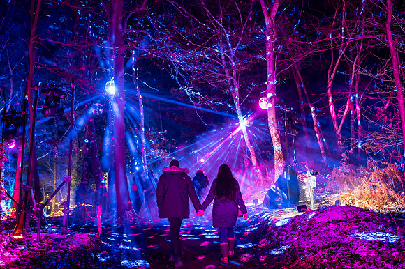 Windsor Great Park Illuminated @ Caitlin Mogridge