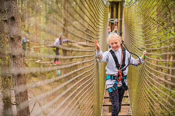Treetop Adventure (1)