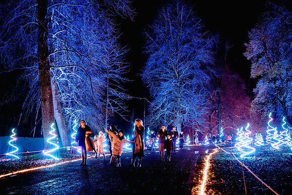 Windsor Great Park Illuminated © Joshua Atkins