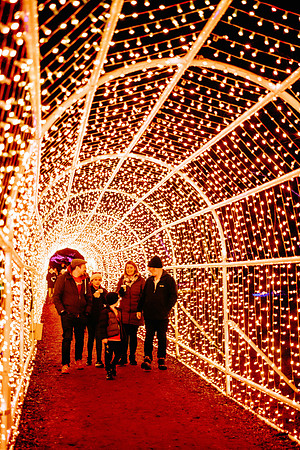 Windsor Great Park Illuminated © Joshua Atkins