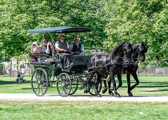 Group & Event Hire 7 seater carriage