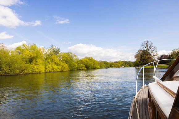 Fringilla Bow, credit The Boat Hire Company